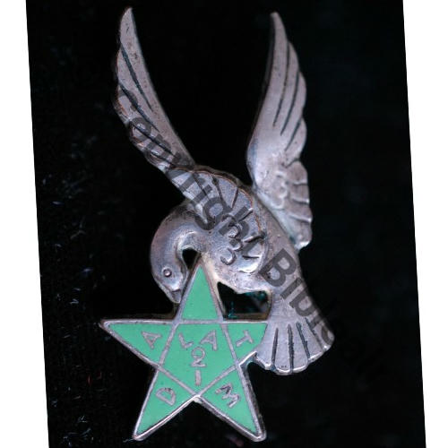 PELOTON  PMAH 2eDIM TEBESSA  AB Bol Chevrons Src.volubilis2011 51Eur09.13 