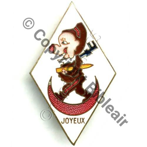 ARTILLERIE PARC No91 1eDINA DIV INF NORD AFR WW2  MARRON A.AUGIS ST BARTH LYON 3Lignes Bol fenetre allonge argente Dos granuleux dore Sc.STELLA 80Eur(x2) 