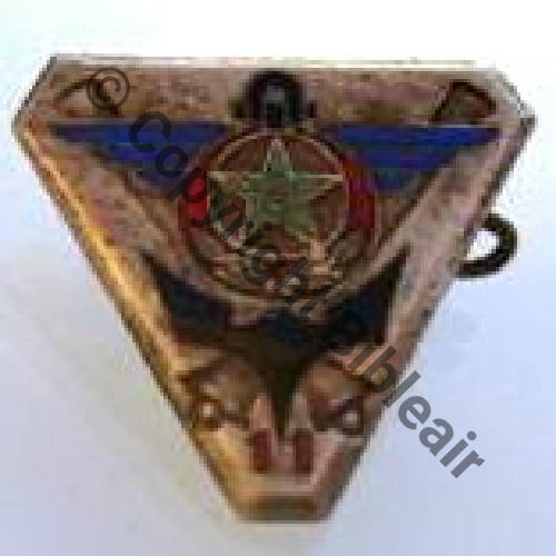 GCAA  11eGp Colonial Artillerie Antiaerienne Sc.2605young