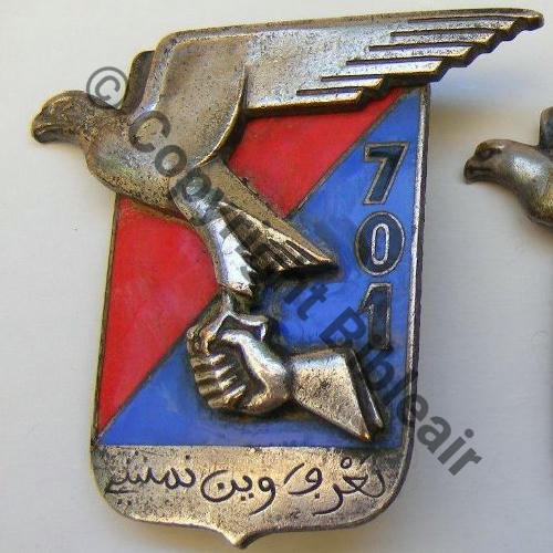 GAG 701e Gpe ARTILLERIE GUIDEE SAHARA  AB Rennes Bol poinconne Dos chevrons 44mm Src.vieillarde 5Eur06.15