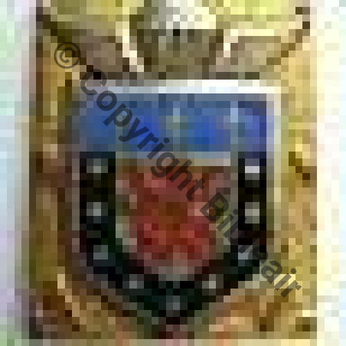 RAP  20eRgt ARTILLERIE PARA  DrPNBer Dep Sc.leberetvert 188EurInv