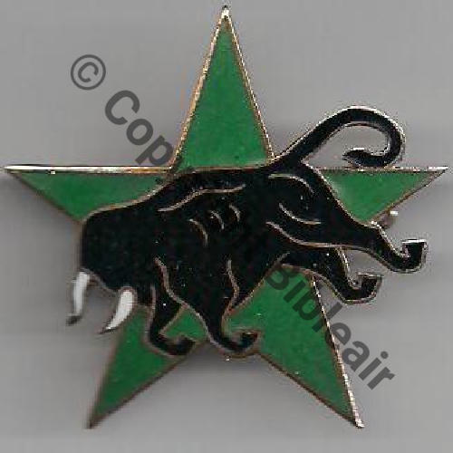 BCC  62eBAT CHAR COMBAT Etoile verte Bordure doree  MOURGEON SM Bol.. Pastille Src.dannydunkan 65EurInv 