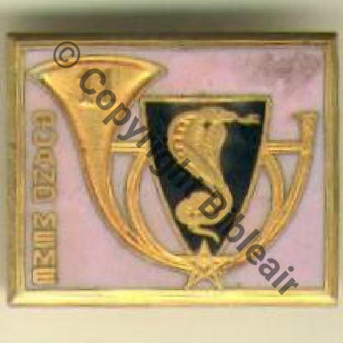 RCA  11eRgt CHASSEURS AFRIQUE  DrBER Modele fond rose refuse Sc.grandspins MAP32Eur