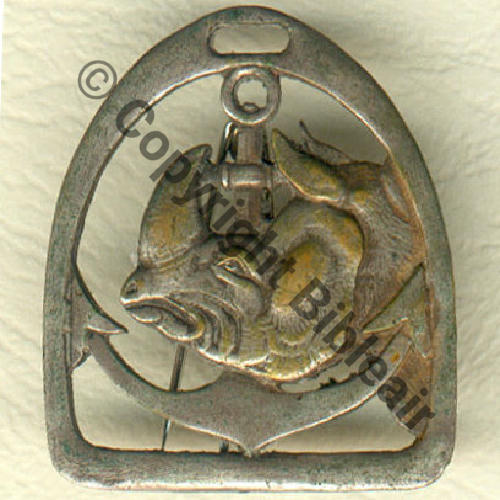 RCA  8eRgt CHASSEURS AFRIQUE Corne epaisse  AUGIS Sc.grandspins13 85Eur02.09