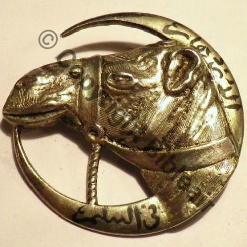 PELOTON MEHARISTE DRUZE LEVANT SAHARA 39.45 ARGENT No5 CNE DEANGELI Dos lisse eping bascule Src.carybroc 547Eur10.12 