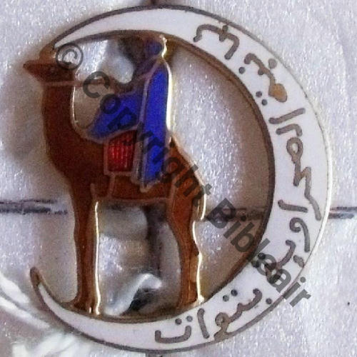 SAHARA  CIE MEHARISTE TOUAT  A.AUGIS LYON 2Lignes 2Anneaux Dos lisse irreg Src.rpima33 90EurInv 