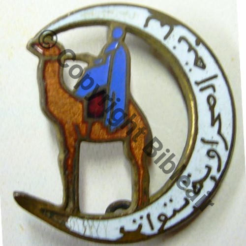 SAHARA  CIE MEHARISTE TOUAT  SM 2Anneaux Dos lisse irreg scintillant Src.anticchauvigny MAP30Eur