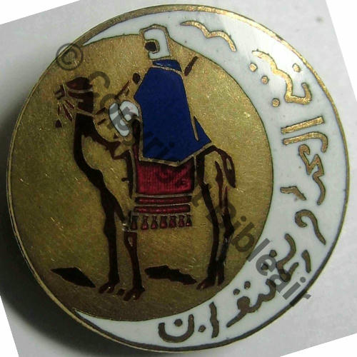 SAHARA  CIE MEHARISTE TOUAT  SM Bol fenetre Dos lisse irreg Src.lacolo 300EurInv 