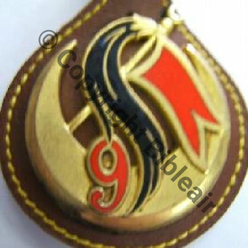 RSA  9eRSA Rgt SPAHIS ALGERIENS  DrP Sc.leberetvert