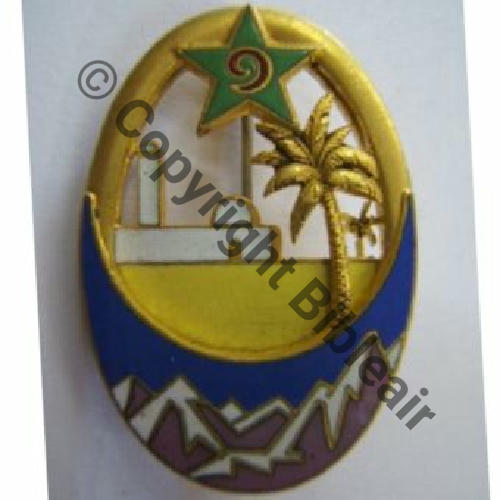 RSA  9eRgt SPAHIS ALGERIENS  SM Eping bascule Dos lisse Sc.leberetvert 199EurInv