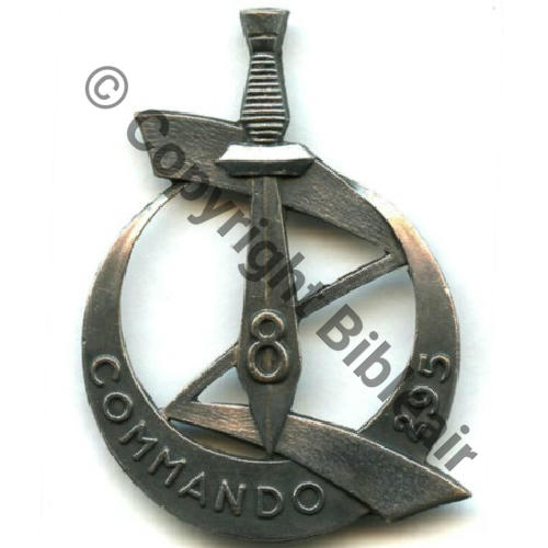 CODO 295 8e ZOUAVE ALGERIE  AB.P 2Anneaux Dos lisse Embouti Src.STELLA 88Eur04.12 