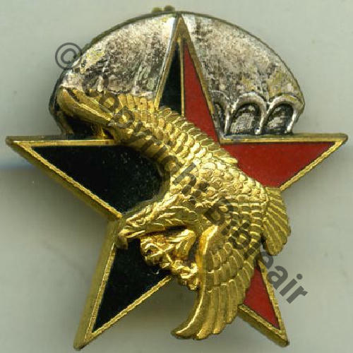 PARA CODO 12eBAT CHOC G1314 Fausse homolog  AB.P Bol poinconne Dos chevrons Src.grandspins13 150EurInv 