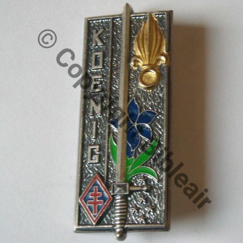 Insigne émaillé - Amicale Laïque Des Ecoles Côte Rôtie - AMPUIS - Vintage