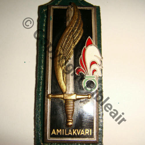 ESM ST.CYR  1954.56 LCL AMILAKVARI  DrPN 2Anneaux Dos lisse Src.flob92 50Eur07.20
