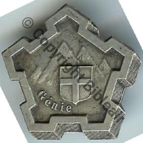 CMG  4eCie Mixte  ARMEE des ALPES  SM Eping bascule Dos lisse En relief 4eCie MIXTE Sc.doume380 599EurInv