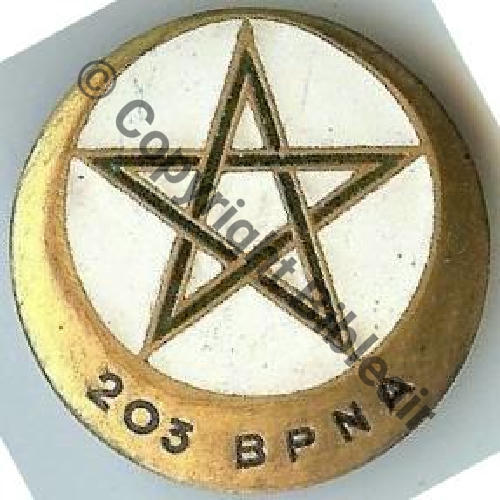BP  203eBat PIONNIERS AFN H643 DrPBER Bol Dos lisse Embouti Sc.dixmude PV230Eur 