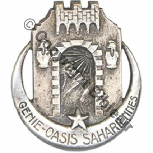 GENIE OASIS SAHARIENNES AB.P Dep Bol poinconne Dos lisse irreg Embouti 550EurInv 