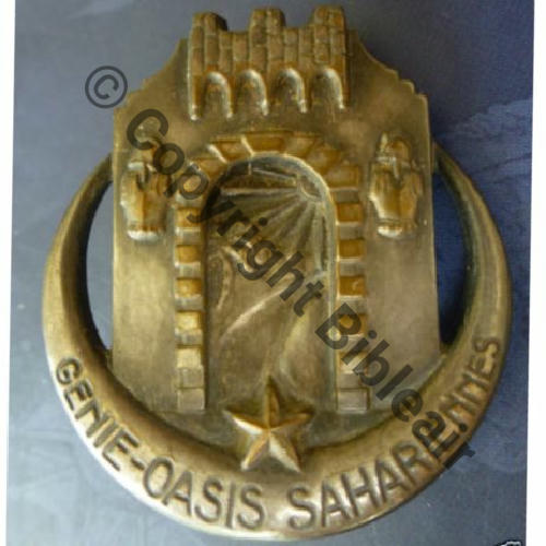 SAHARA  OASIS SAHARIENNES  AB.P Dep + Poinc relief Bol poinconne Dos lisse Embouti Src.ledemisolde 550EurInv 