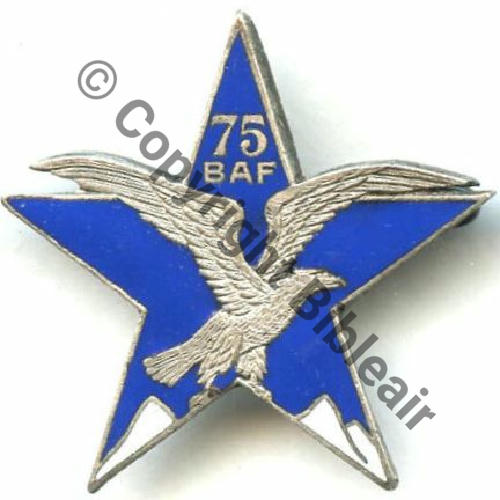 BAF  75eBat ALPIN FORTERESSE Section Eclaireurs skieurs  DrPNBER Bol fenetre Dos lisse Sc.STELLA 210Eur02.12 