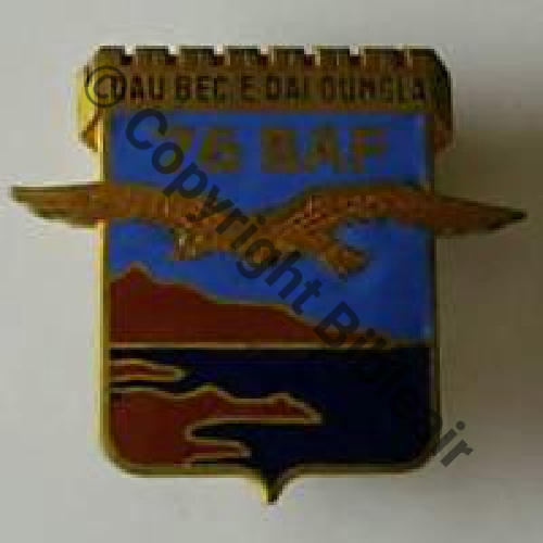 BAF  76eBat ALPIN FORTERESSE Avec devise DrPNBER Bol fenetre Dos lisse Sc.legras MAP100