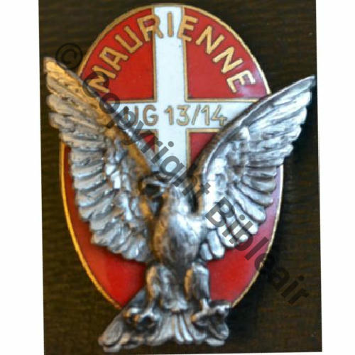 UG  UNITE GARDIENNAGE  AB.P Past RENNES Dos lisse Aigle broche Src.dannydunkan MAP149Eur 