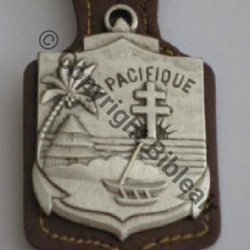 BIMP  Bat Inf Marine du Pacifique  DrP Sc.maguinouche 