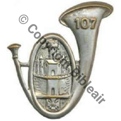 Lot 5 insigne boutonnière fédération française de rugby - Collection