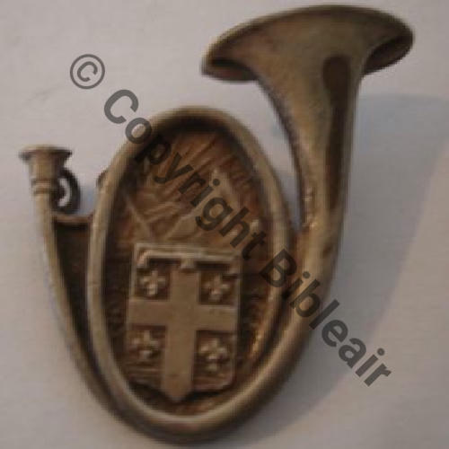 2e Demi Brigade CHASSEURS ALPINS ww2 DrPBER Dep Sc.malava2a MAP30Eur+