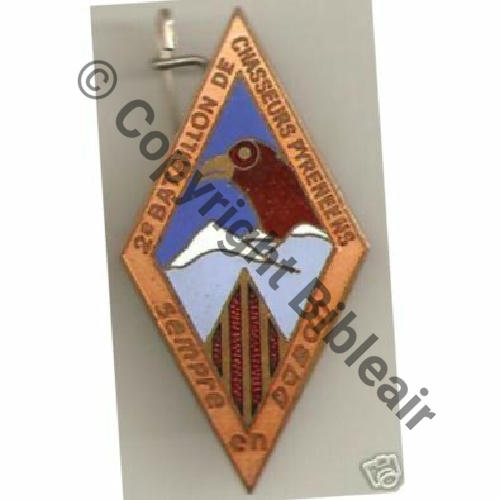 BCP  2eBat CHASSEURS PYRENEENS  AAUGIS ST.BARTH LYON Attac PONTET Dos Granuleux Sc.67iml MAP180Eur