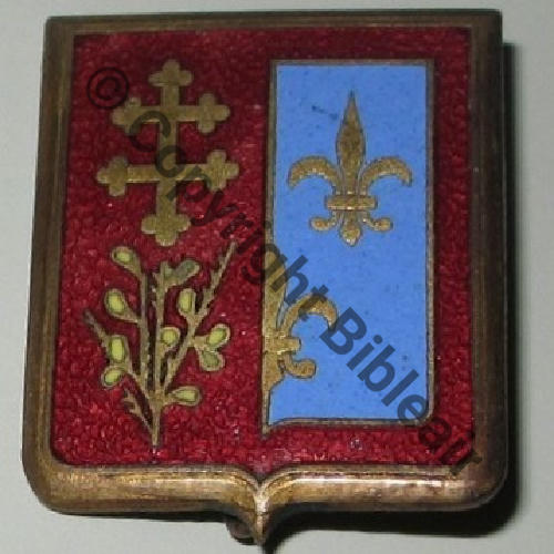FFI  135eRI CORPS FRANC Tres incertain car non N) ni nom du maquis  DrPBer Bol Dos lisse irreg Src.dannydunkan 37Eur10.13 