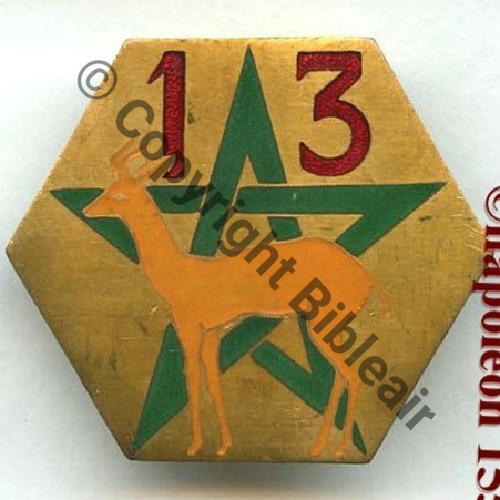 GOUM 13eGOUM MIXTE MAROCAIN  AB.P Dep +Poincon relief Bol poinconne Dos lisse irreg Src.STELLA 420EurInv 