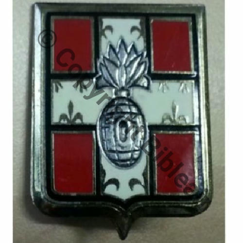 RI  101eRgt INF G2212  DrP Guilloche Src.dannydunkan 5EurInv 