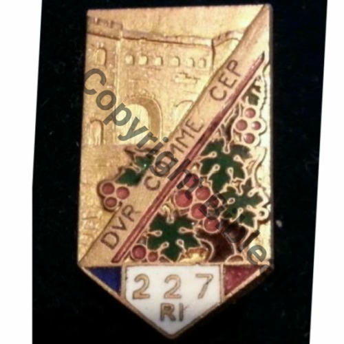 RI  227e RI  SM Bol Dos lisse irreg PETIT MODELE Src.dannydunkan 85EurInv 