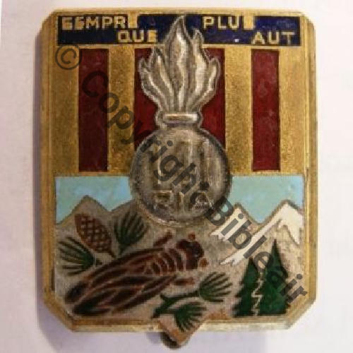 RIA  141eRGT INFANTERIE ALPINE DrPBER Dep Bol Dos lisse Src.vieillarde