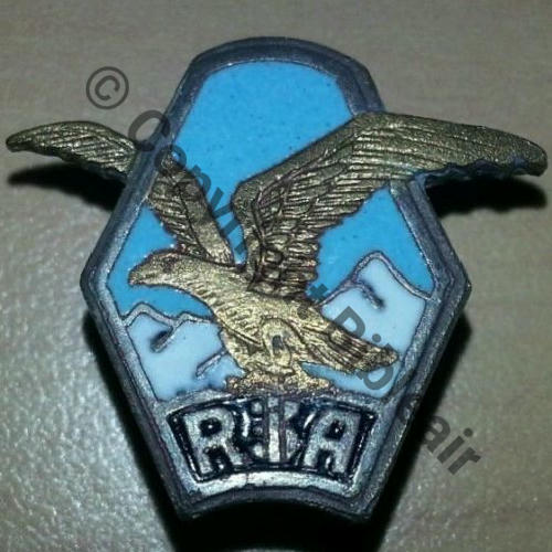 RIA  3eRIA Cartouche NOIR Boutonniere  DrPN Ber Dos lisse irreg 22mm Src.dannydunkan 45EurInv 