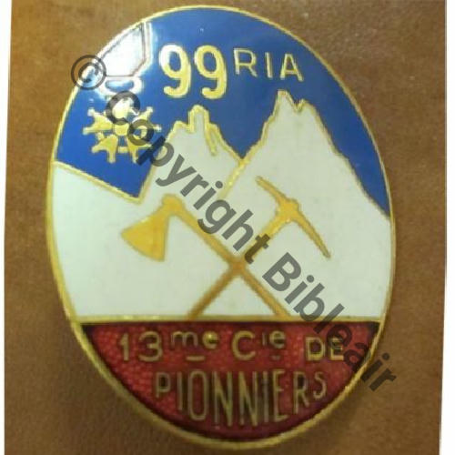 RIA  99eRgt INFANTERIE ALPINE 13e CIE PIONNIERS RETIRAGE  FIA LYON Dos lisse irreg scintillant Embouti Src.dannydunkan 27Eur09.13  