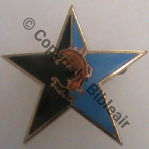 SES EGM.24.5  SM Bol fenetre dos lisse irreg Src.sahariens50 79EurInv 