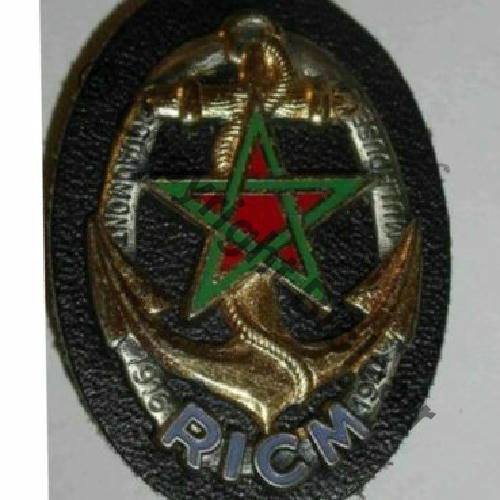 RICM  DrN Sc.maguinouche 