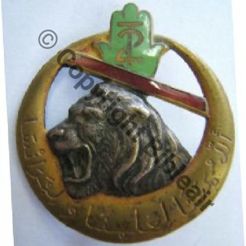 RTA  02eRgt TIRAILLEURS ALGERIENS WW2  DrPBER Bol Dos lisse Embouti 42mm Sc.leberetvert
