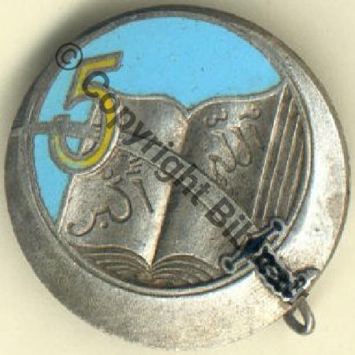 RTA  05eRgt TIRAILLEURS ALGERIENS Fond Bleu   DrPNBER Dep  Bol Dos lisse Sc.grandspins13 30EurInv