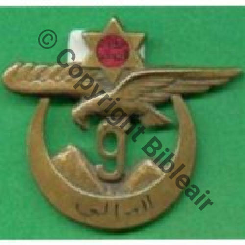 RTA  09eRgt TIRAILLEURS ALGERIENS  AB.P Dep Eping bascule Dos lisse Embouti Sc.vicou1 MAP70Eur 