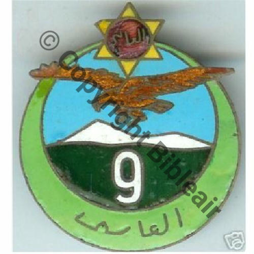 RTA  09eRgt TIRAILLEURS ALGERIENS  SM Bol Dos lisse Sc.67iml 