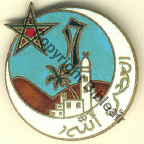 RTA  17eRgt TIRAILLEURS ALGERIENS en INDO  Dr Sc.grandspins 28Eur 