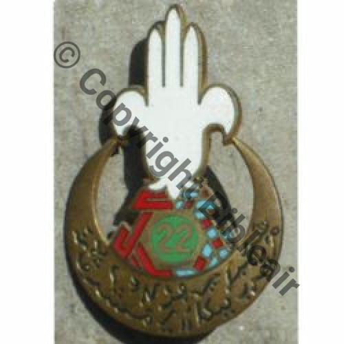 RTA  22eRgt TIRAILLEURS ALGERIENS   DrPNRom DBol Guilloche vrac Src.antsi67 20Eur06.12 