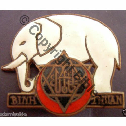 RTT  04eRgt TIRAILLEURS TUNISIENS BINH THUAN  DrPBer Dep Eping bascule Dos lisse Embouti Src.ledemisolde  245EurInv 