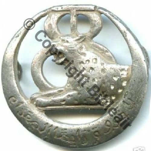 RTT  08eRgt TIRAILLEURS TUNISIEN Surmoulage AFN ou Italie44 AB.P visible 2Anneaux Dos lisse Embouti Sc.vici1916 78Eur12.07