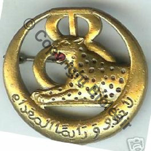 RTT  08eRgt TIRAILLEURS TUNISIENS  AB.P Eping bascule Dos lisse Embouti Sc.67iml