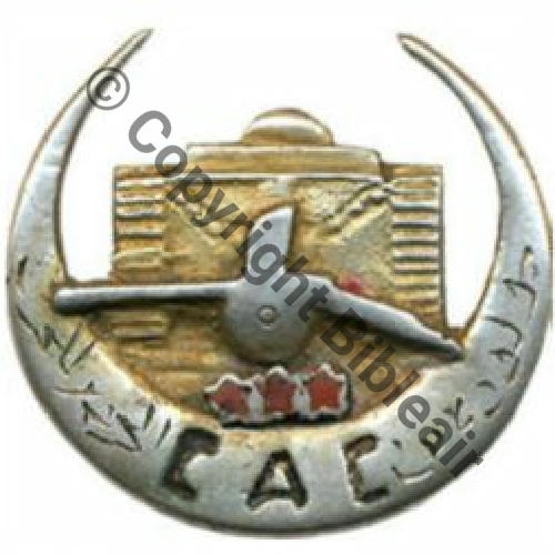RTT  16eRgt TIRAILLEURS TUNISIENS   Fab LOC ARGENT Sans attache Dos irreg Src.LAVOCAT 1300EurInv