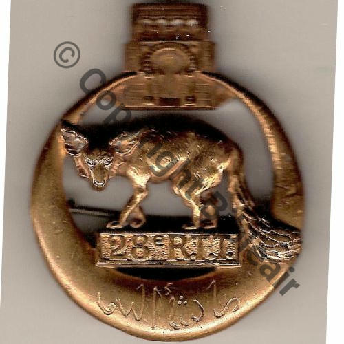 RTT  28eRgt TIRAILLEURS TUNISIENS  FONTANEL LYON Dep Eping bascule Dos lisse Embouti Src.mian04nou PV39Eur
