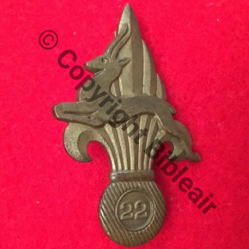 CSP  Cie SAHARIENNE... PORTEE LEGION  DrP+Past Guilloche  Src.sahariens50 105EurInv 